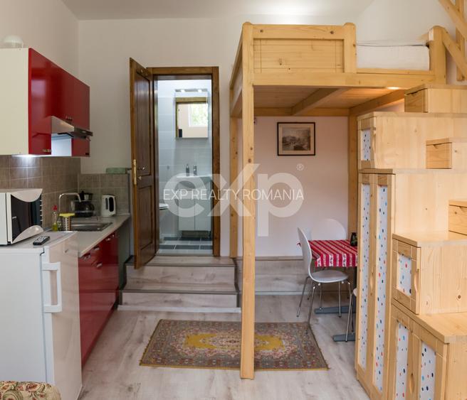 Garsoniera de inchiriat, zona centrala,  340 Euro . - 18