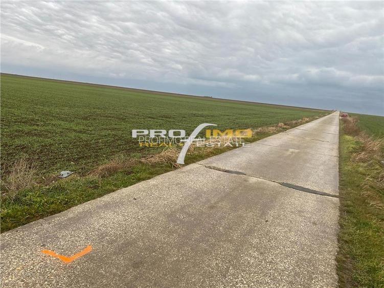 Plaja Corbu-Teren 4200mp. la numai 8 euro /mp. Soseaua asfaltata - 12