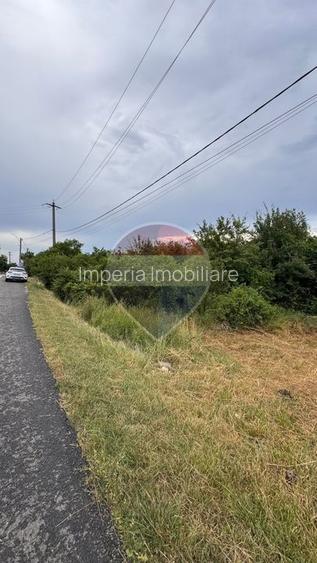Teren 20798mp, DE 70 Craiova-Drobeta, Balota, Prunisor - 3