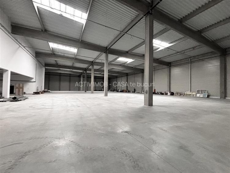 Hala Industriala Noua 2025 – 7000 mp - Acces Rapid la Autostrada - 12