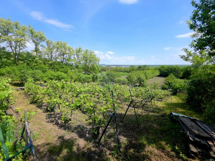 Teren intravilan 4,516mp Doina