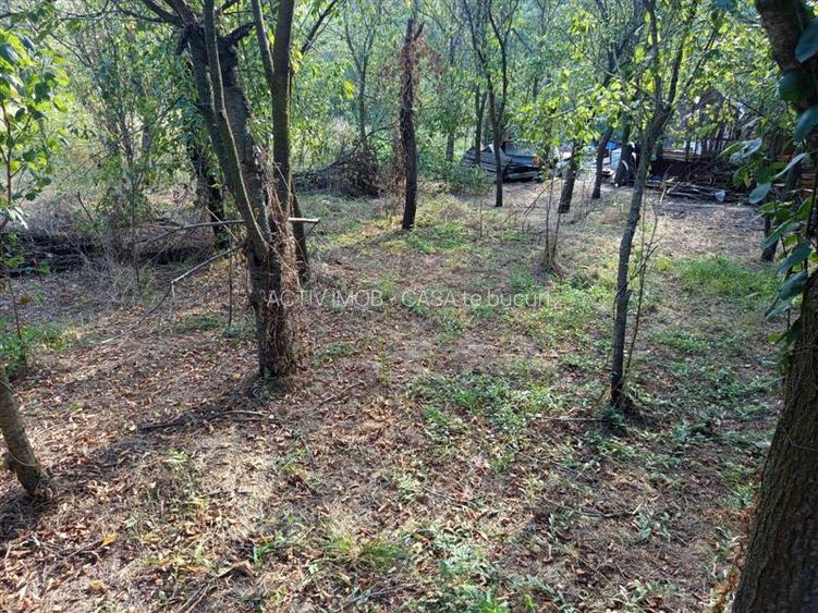 Naidas, Casa 7 Incaperi, 842mp Teren, Pret Negociabil - 22