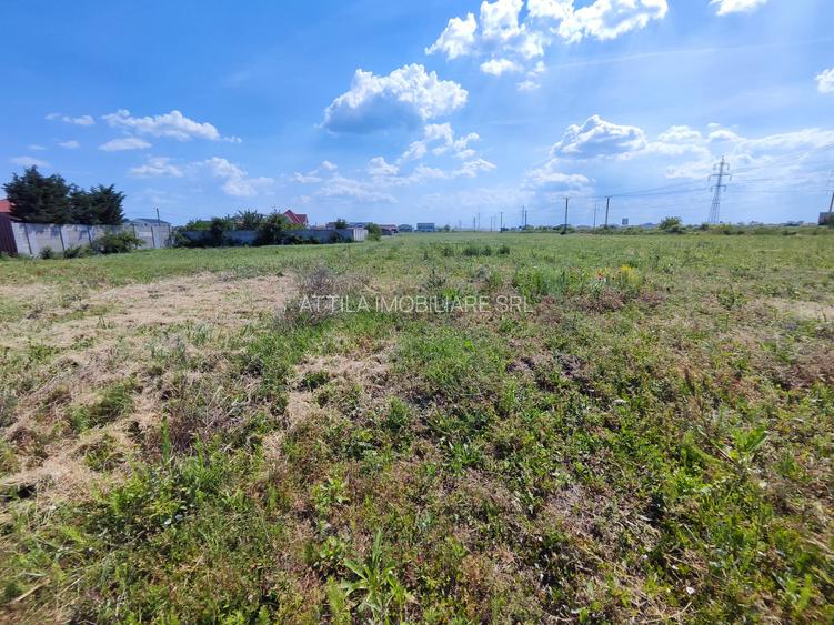 Mosnita Noua teren langa centura 90000 euro - 3