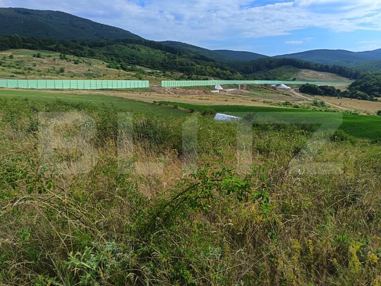 Teren extravilan, de vanzare, 6500 mp, zona Crasnei