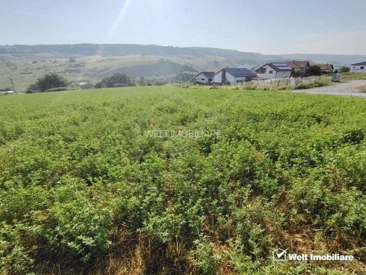 TEREN PENTRU DEZVOLTARE IMOBILIARA - 7.092 MP - CORUSU, BACIU - 2