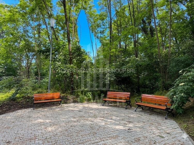 OCAZIE RARĂ - Teren cu cabană de vânzare lângă Lacurile Naturale - Ocna Sibiului - 14