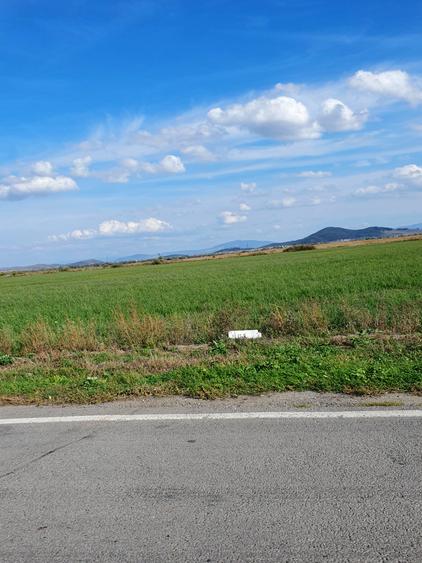 Codlea, 10000 mp, teren industrial, 15 e/mp