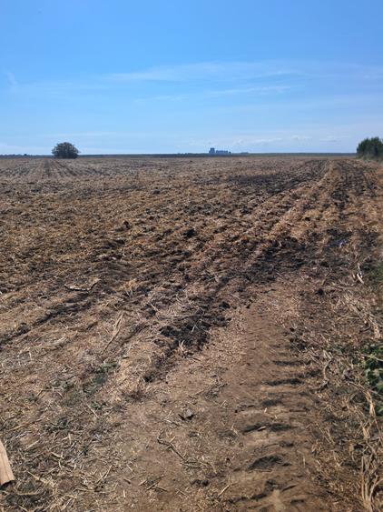 EXCLUSIVITATE! TEREN EXTRAVILAN -10.000 mp – COSTINEȘTI, SCHITU, ZONA RADAR