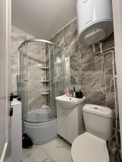 Camera de camin, 17 mp, zona Bularga - 5