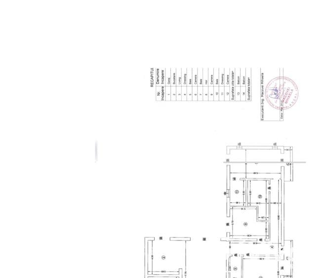 Copou-serv. Cazier Judiciar, casă cu piscină, 320mpU, 915 mp teren - 20