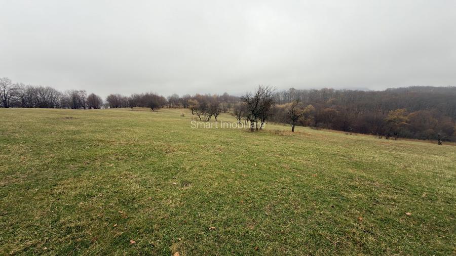 Teren deosebit 3,5HA zona Cisnadioara - 6