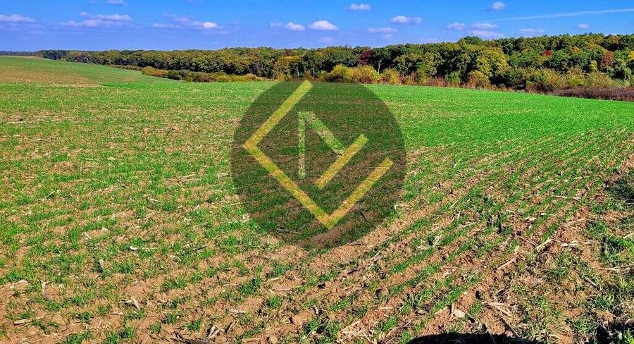 Teren 9Ha -> 16Ha Ha Intravilan , Exit A3 Snagov Ghermanesti Bucuresti-Ploiesti