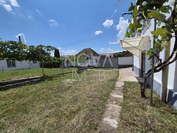 Casa individuala cu teren generos – 8.356 mp – Tichindeal, jud. Sibiu - 34