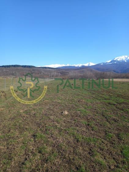 Vindem teren Sibiu, Valea Lupului, priveliste deosebita