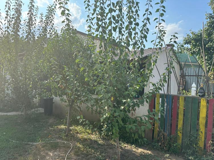 Casa si teren zona teatrul Maior Gheorghe Pastia, Focsani, jud. Vrancea.