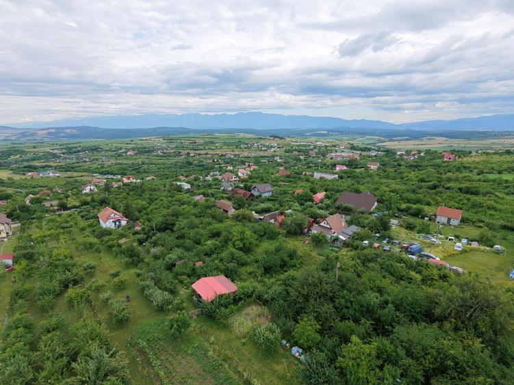 Teren intravilan 1000 mp in Sibiu Daia Noua