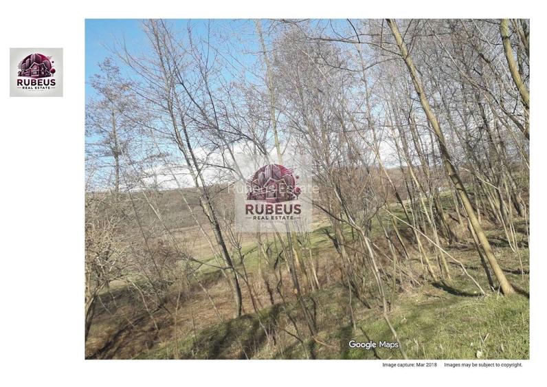 Oportunitate rară! 1 ha pădure Corcova – teren cu potențial real - 2