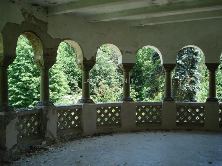 Conac istoric clasa B, 13 ha teren, valoare istorica - 11