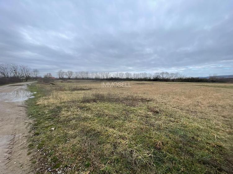 5700 mp Teren intrav. zona Mini Paradis, deschidere 44 ml- 28 eur/mp - 2