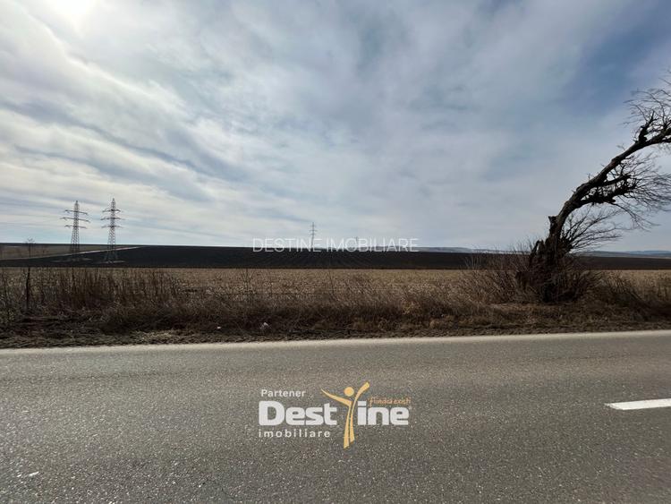 Teren de vanzare Caciulesti 10.000 Euro 1300mp - 4