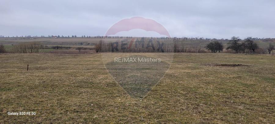 Teren 2925 mp comuna Mitocu Dragomirnei - 17