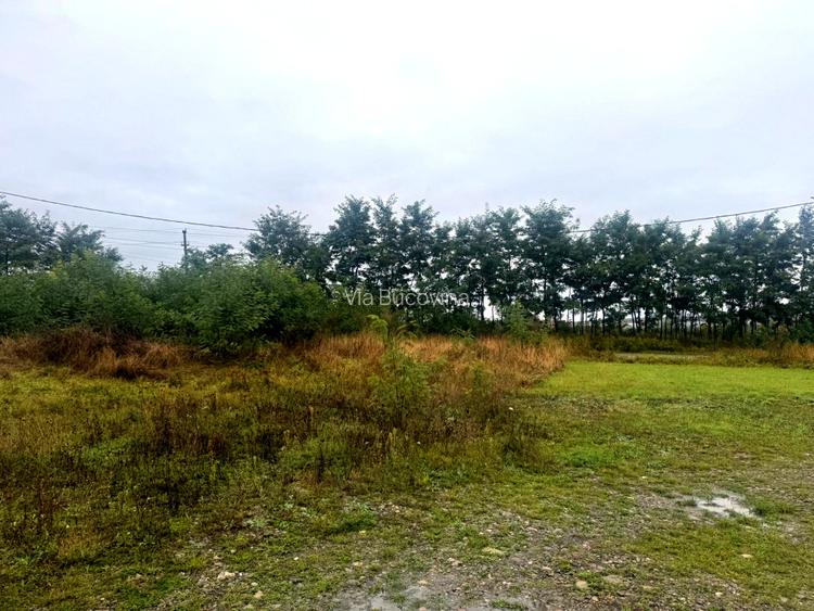 Vanzare 10.000 mp teren Liteni Suceava- la strada -potrivit proiect fonduri - 17