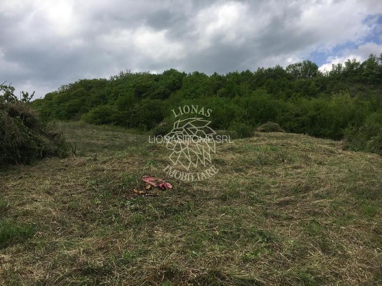 Teren intravilan 1550-Dealul Jelnei -schimb cu garsoniera - 2