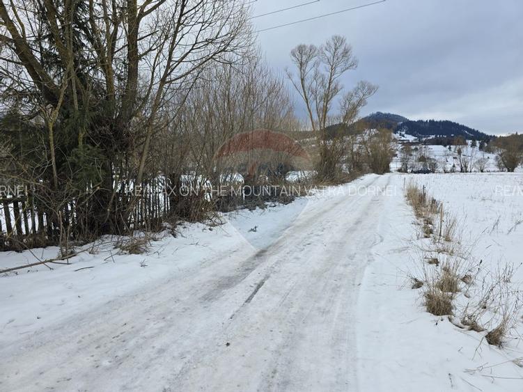 Teren 5,395mp Dorna Candrenilor / Strada Dorna - 3