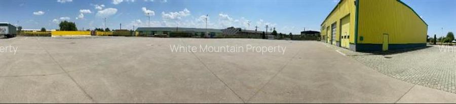 Pecica, 12000 mp platforma, inchiriere lunga durata, - 6