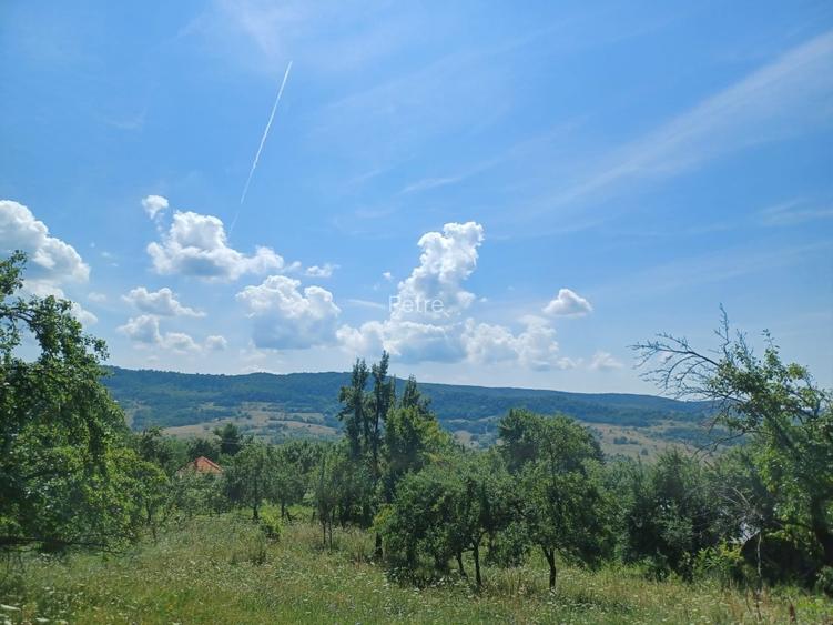 24.141 mp 1h30' de Bucuresti -  ideal casa sau complex retreat - 6