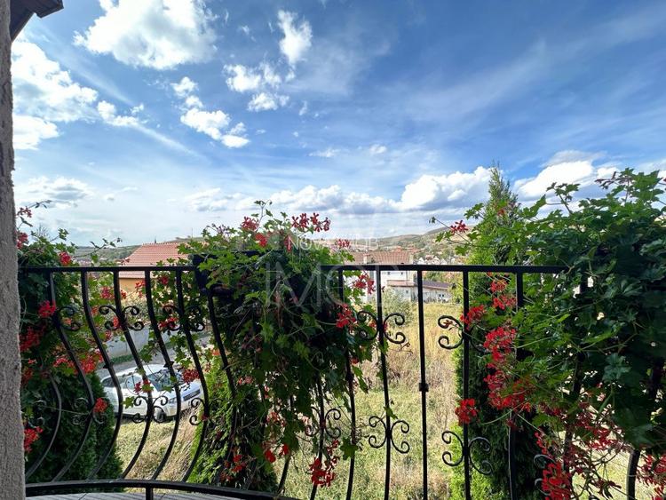 Casa individuala de vanzare - Sura Mare - 9