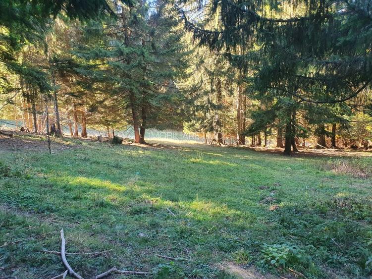 Teren Construcții intravilan de 2000 mp, în Poiana Brașov - 8