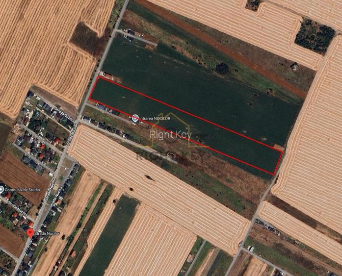 Teren Intravilan Dragomiresti Vale, Loturi sau Integral, Comision 0% - 4