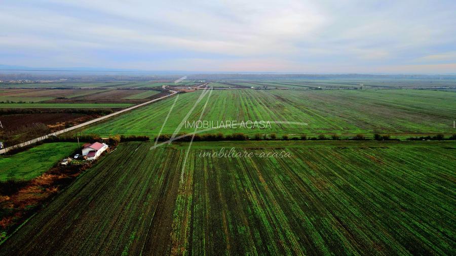 Teren intravilan curti-constructii, industrial, Autostrada A1 - km 62 - 29
