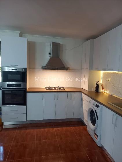Apartament de vânzare, Dr. Tr. Severin - 13