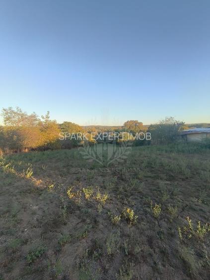 TEREN INTRAVILAN  PLOPU//3000 MP - 3