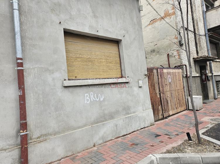 Pta Alba Iulia - casa individuala - curte- 4 camere plus garsoniera - Popa Nan - 12