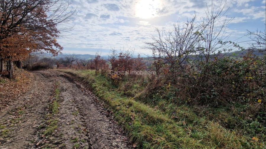 Teren de vânzare in Groși, Maramureș, 55 ari  - 8