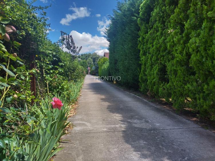 Vila de vanzare in Snagov in vecinatatea padurii - 5