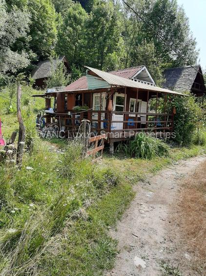 Proprietate pe Valea Vâlsanului – Cabane din lemn + Casă ecologică COB - 6