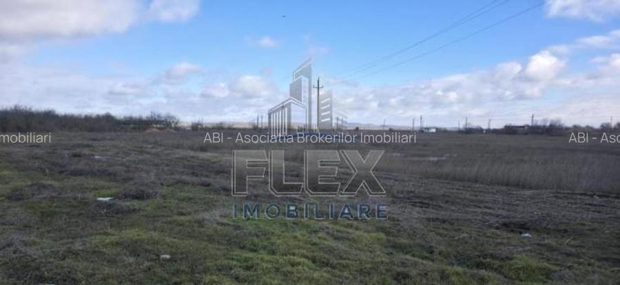 Vanzare Teren Delta Dunarii 3.83 Ha - Oportunitate - 7