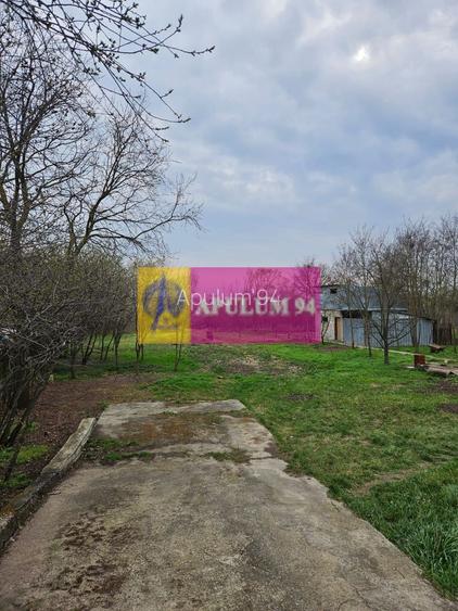 GIURGIU - COM. BUCSANI (SAT OBEDENI) CASA 2 CAM DE VANZARE - 19