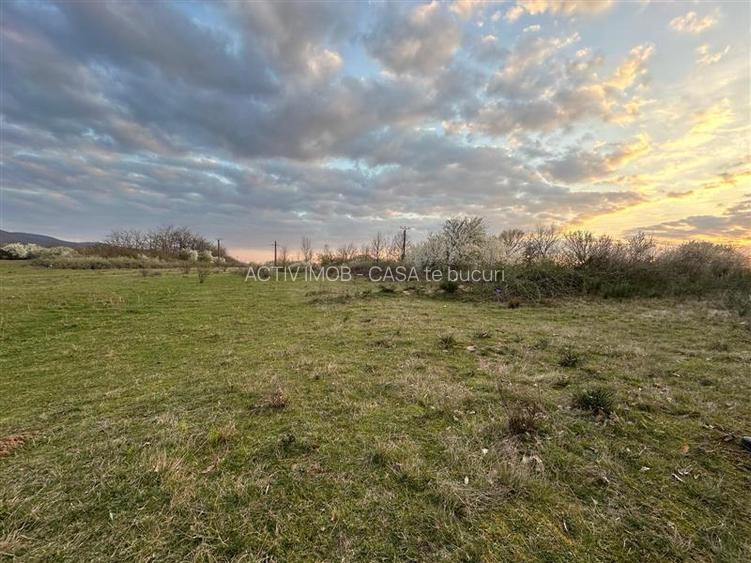 Bocsa Romana, 2 terenuri intravilan, 10.000 Mp.(59.900 Euro) si arabil, 80.000 M - 5