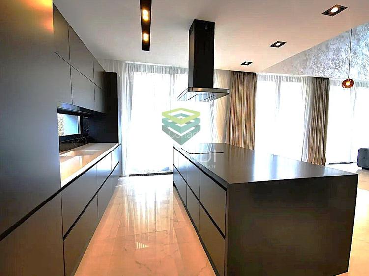 Baneasa- Iancu Nicolae, vila de inchiriat, 460 mp utili - 5