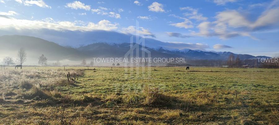 Teren intravilan de vânzare | Valea Avrigului-Porumbacu de Jos - 3