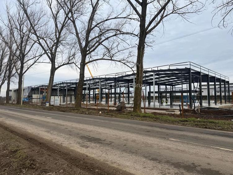 7 hale noi 2026 Afumati- Petrachioaia - 3