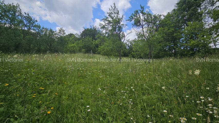 REL4001143 Teren de vanzare in Valea Doftanei - 5