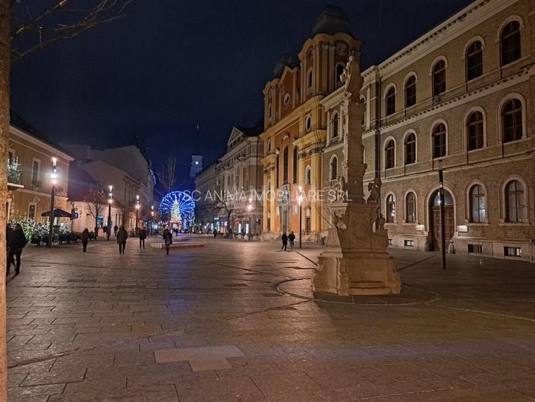 Apartament 2 camere ultracentral, parcare in curte - 13