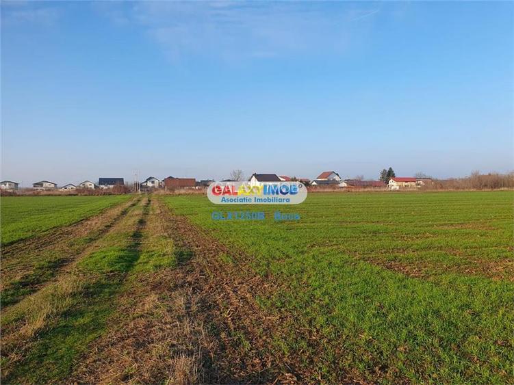 Teren intravilan Crevedia-Manastirea - 5