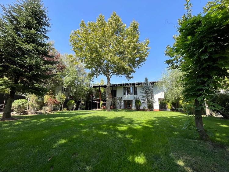 Casă individuală - 860 mp teren, 4 dormitoare si birou - 19